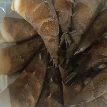 云南优质水果甜笋