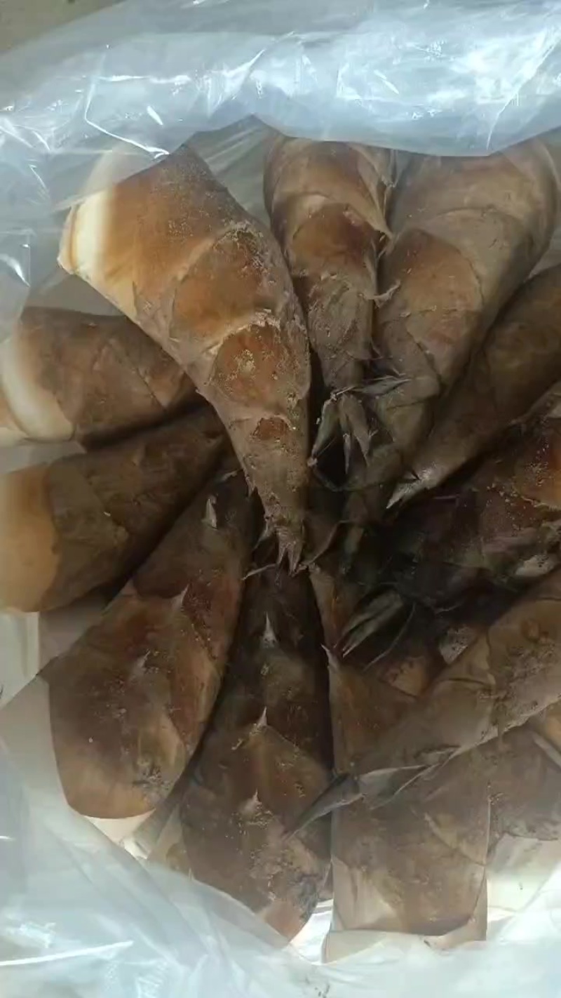云南优质水果甜笋