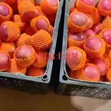 精品富士苹果