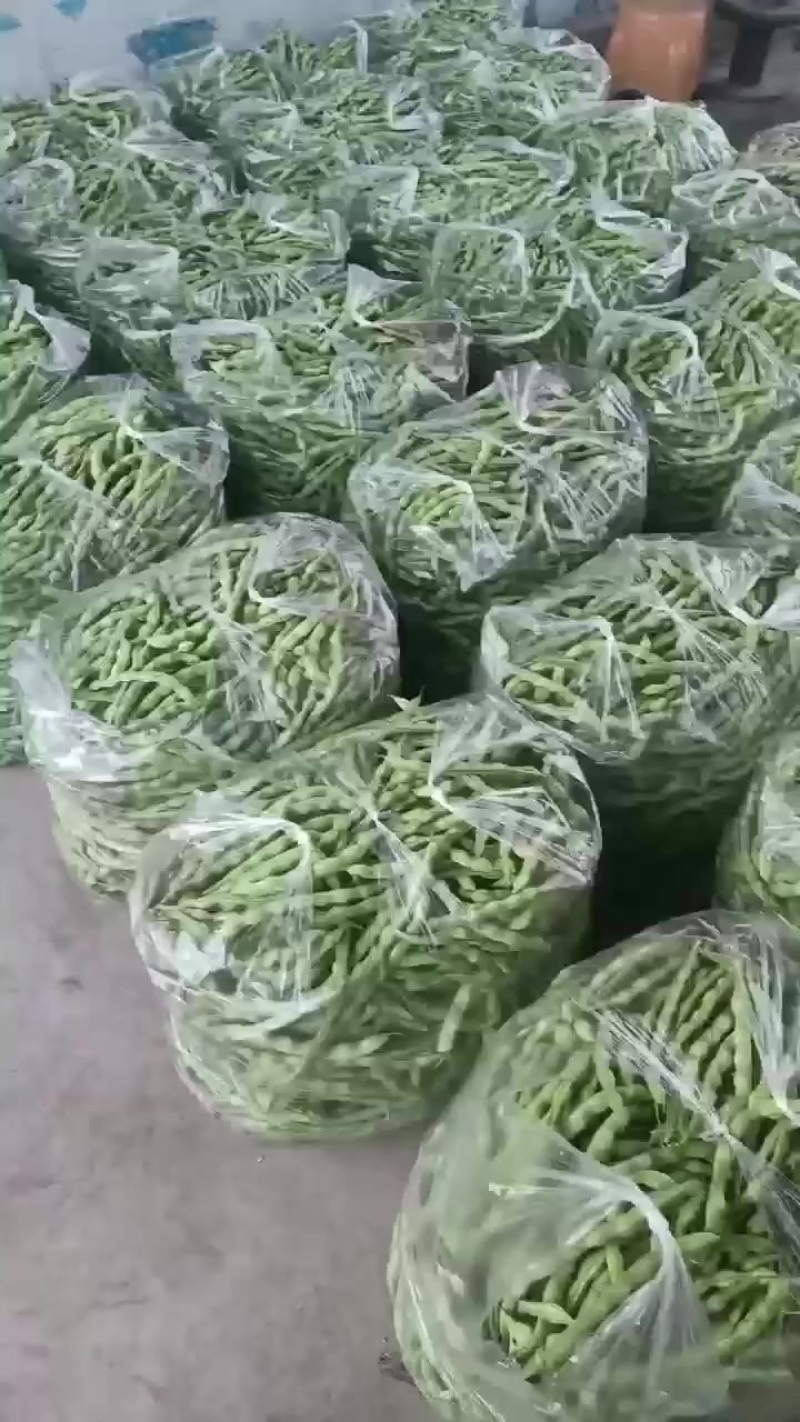 肉豆，四季豆
