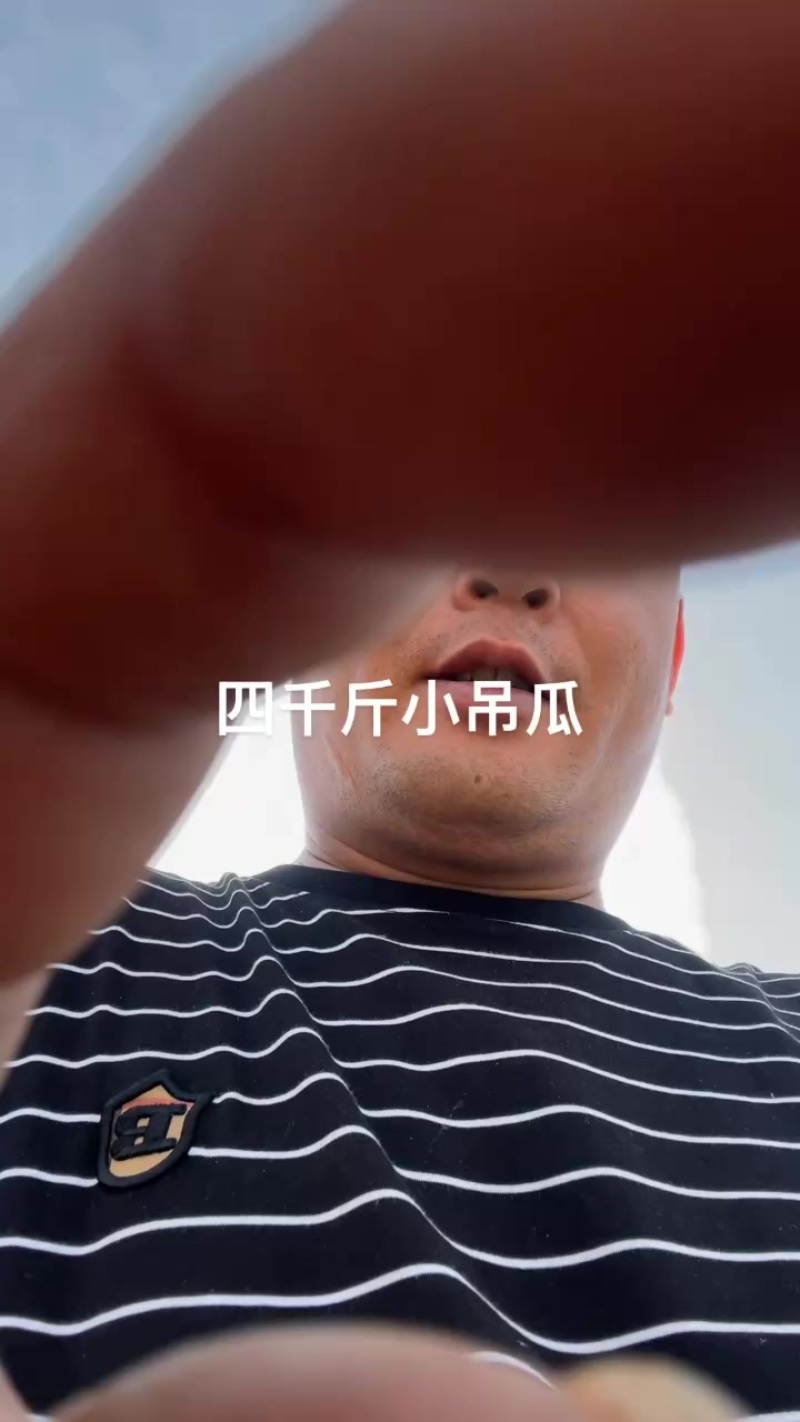 小吊瓜