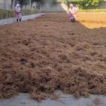 露水草干货，保质保量