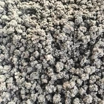 大量猫爪草现货精品水洗两遍无杂质！