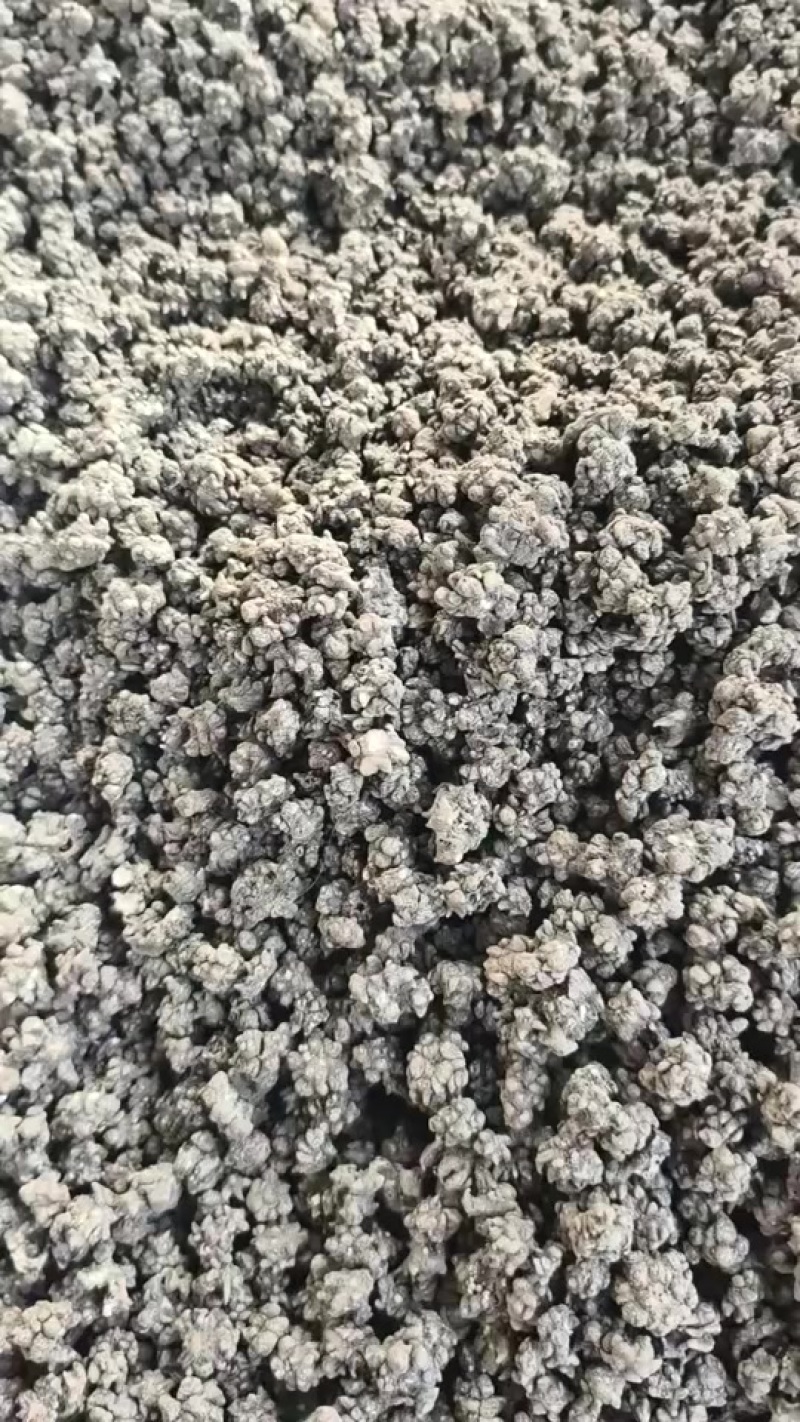 大量猫爪草现货精品水洗两遍无杂质！
