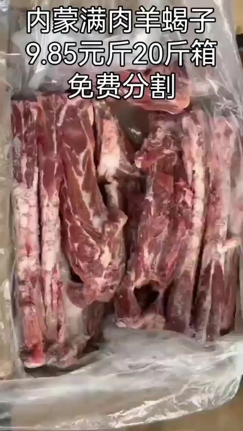 内蒙满肉羊蝎子