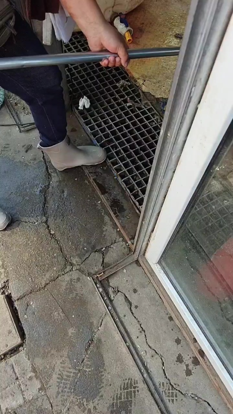 嫩江黑鱼