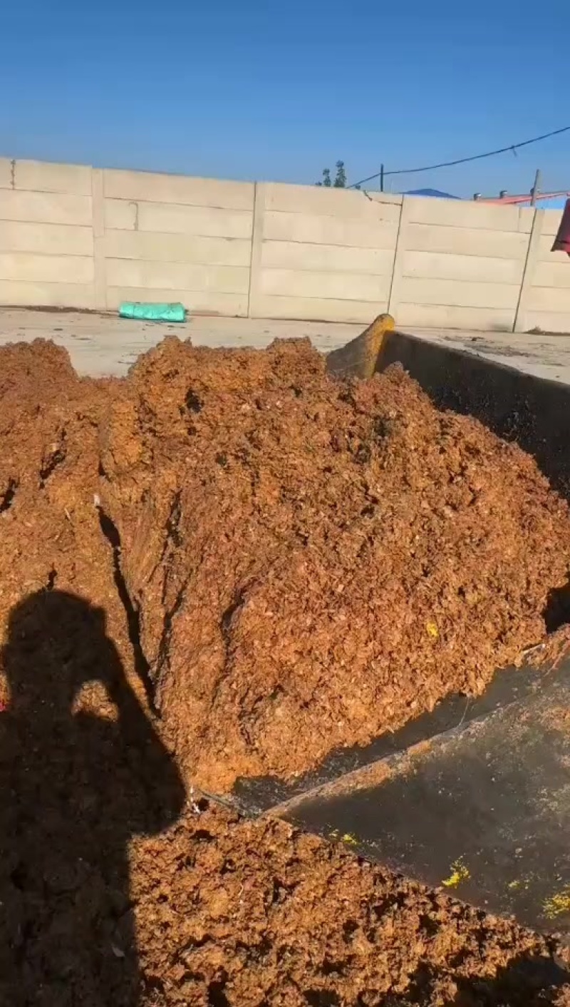 优质苹果渣，梨渣湿料干料都有