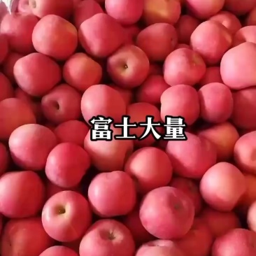 富士苹果