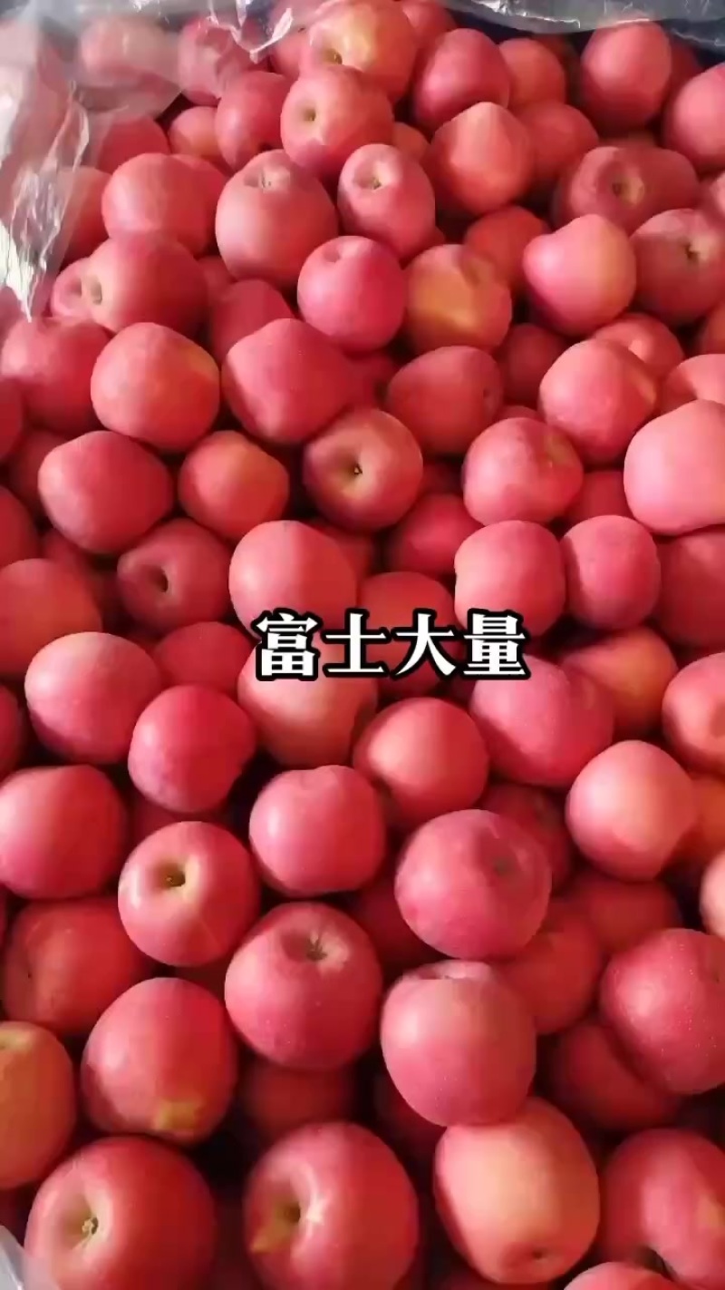 富士苹果