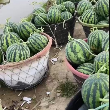 盐城精品