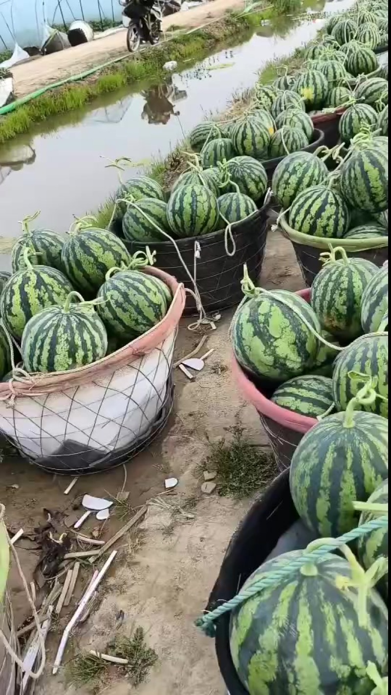 盐城精品