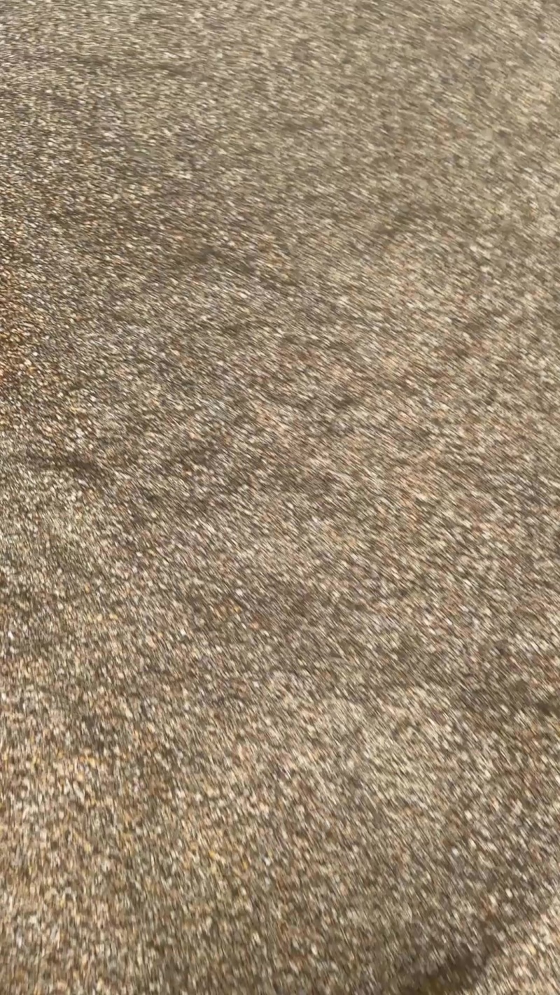 碎玉米