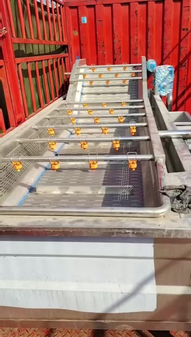 水果蔬菜气泡清洗机