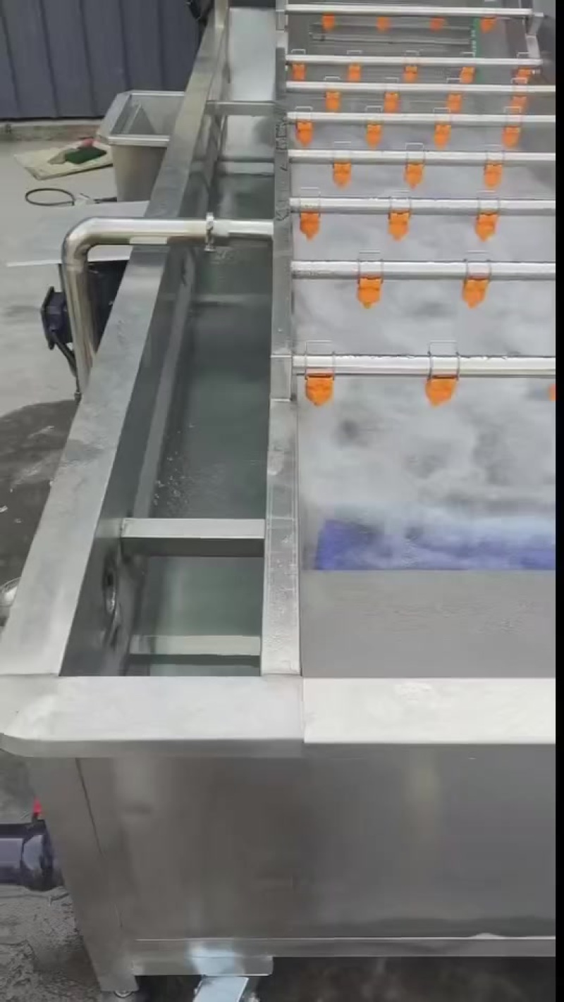 水果蔬菜气泡清洗机