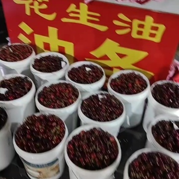 樱桃代发，抖音淘宝，淘工厂均支持一件代发，