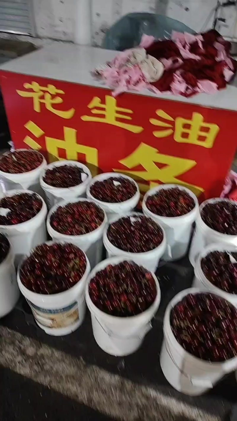 樱桃代发，抖音淘宝，淘工厂均支持一件代发，