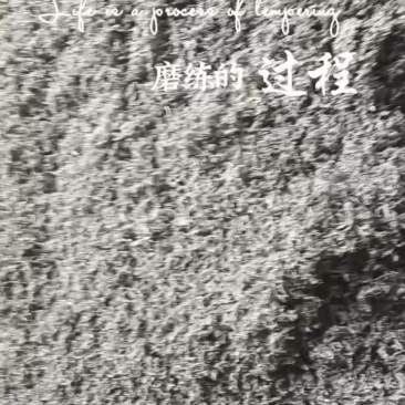 张家界长寿村莓茶（藤茶）