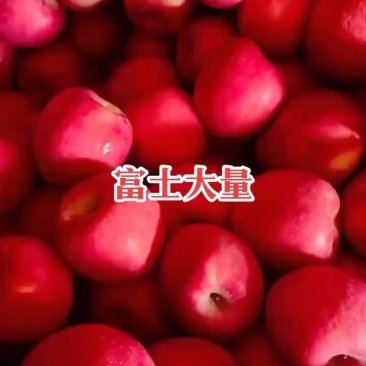 富士苹果