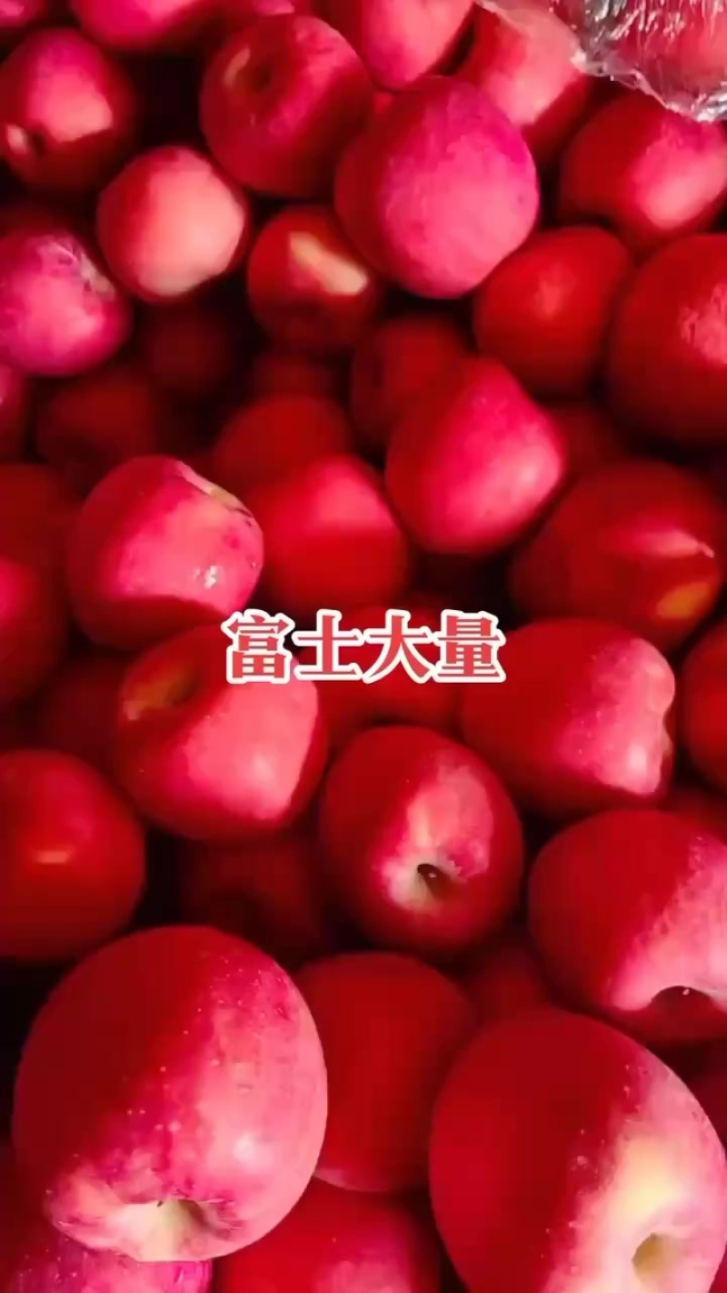 富士苹果