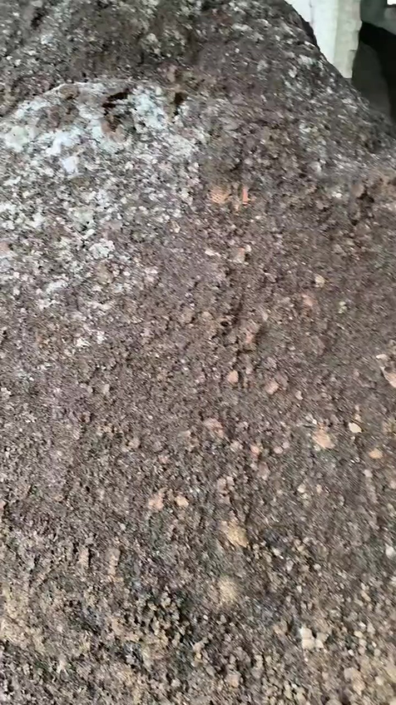 发酵纯菌渣