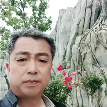 我是一名景区造景，施工，设计一体技术工。