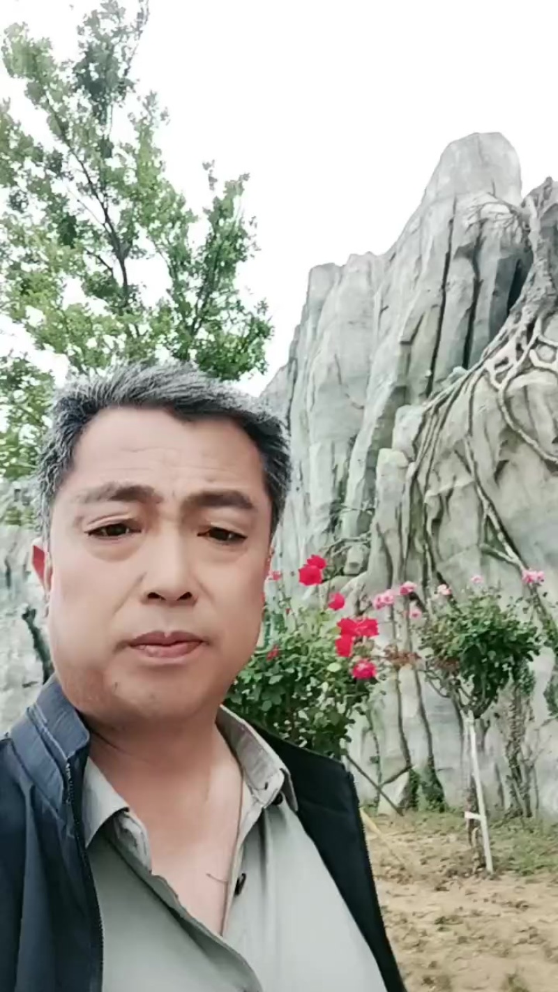 我是一名景区造景，施工，设计一体技术工。