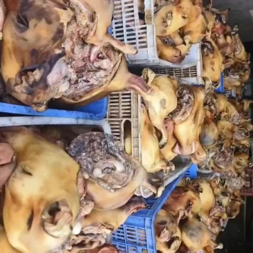 火烧牛头