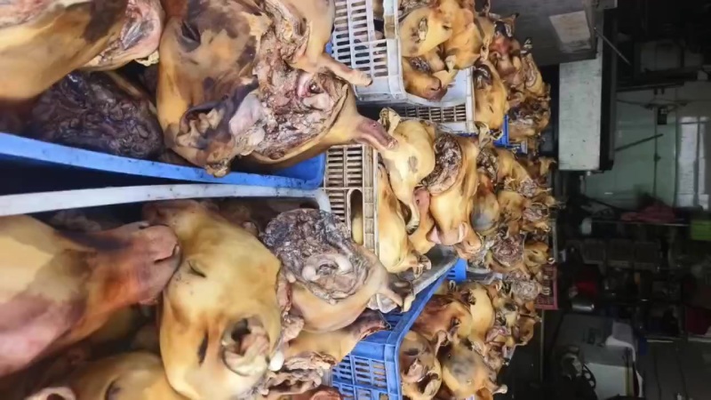 火烧牛头