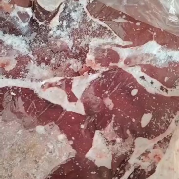 猪肝
