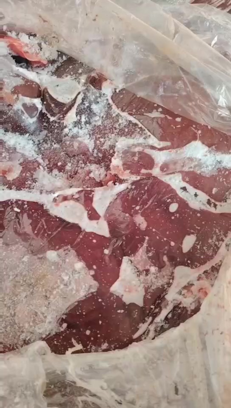 猪肝