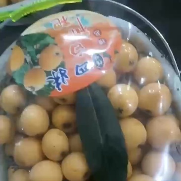 太平白枇杷