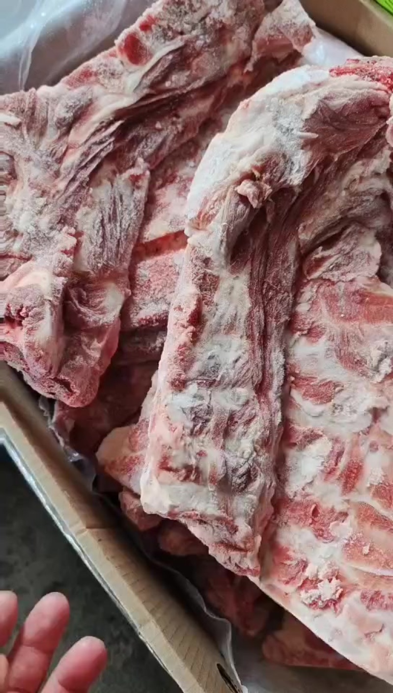 多肉颈骨