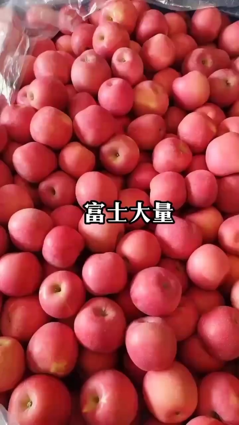富士苹果