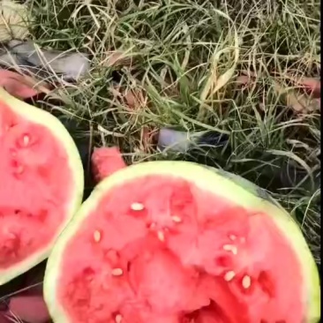 通货美都