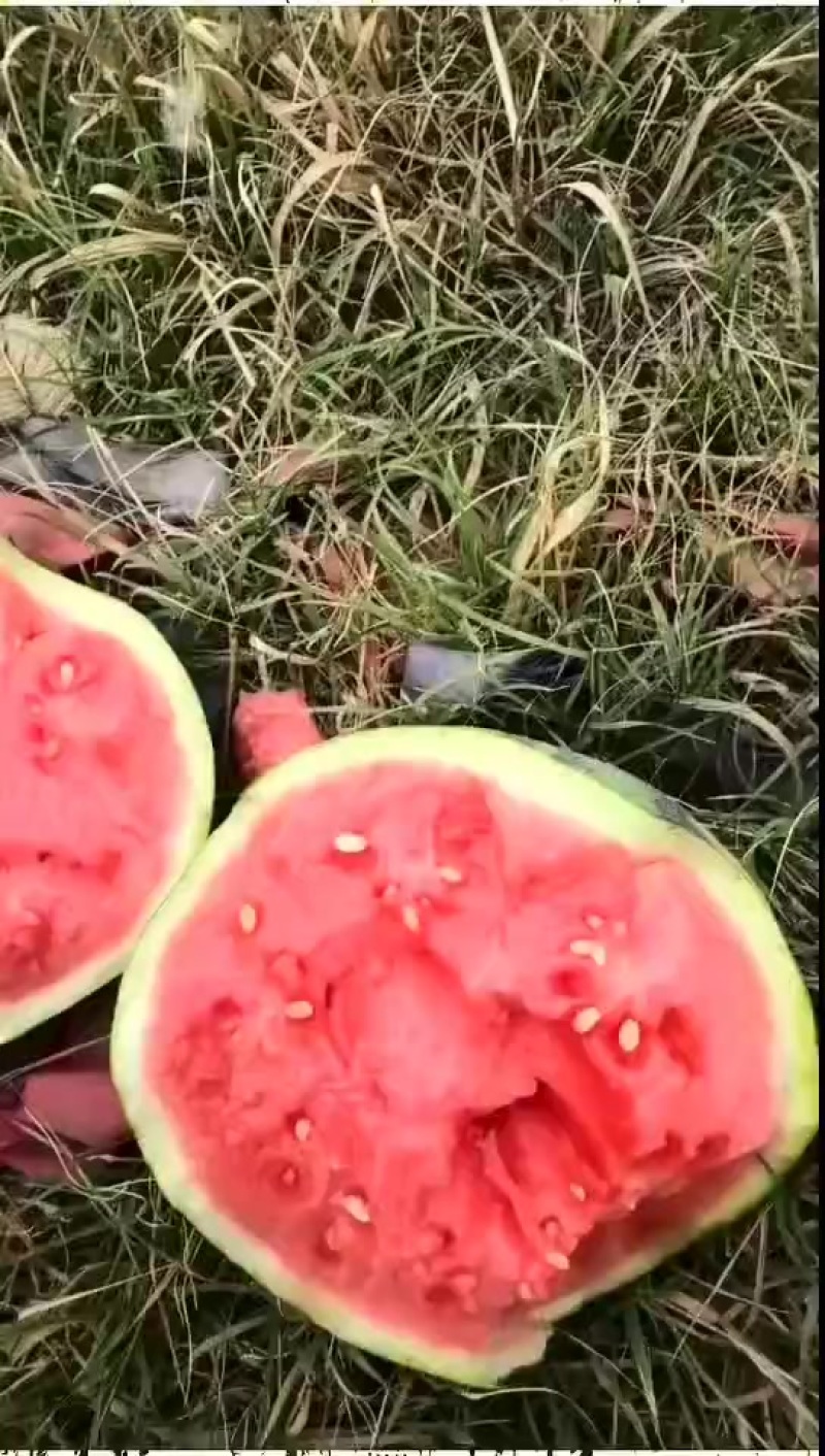 通货美都