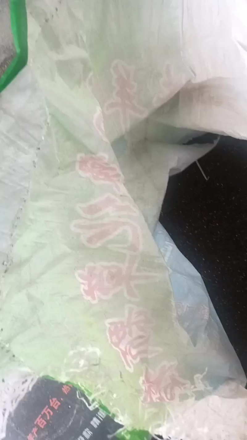 油菜子6000斤