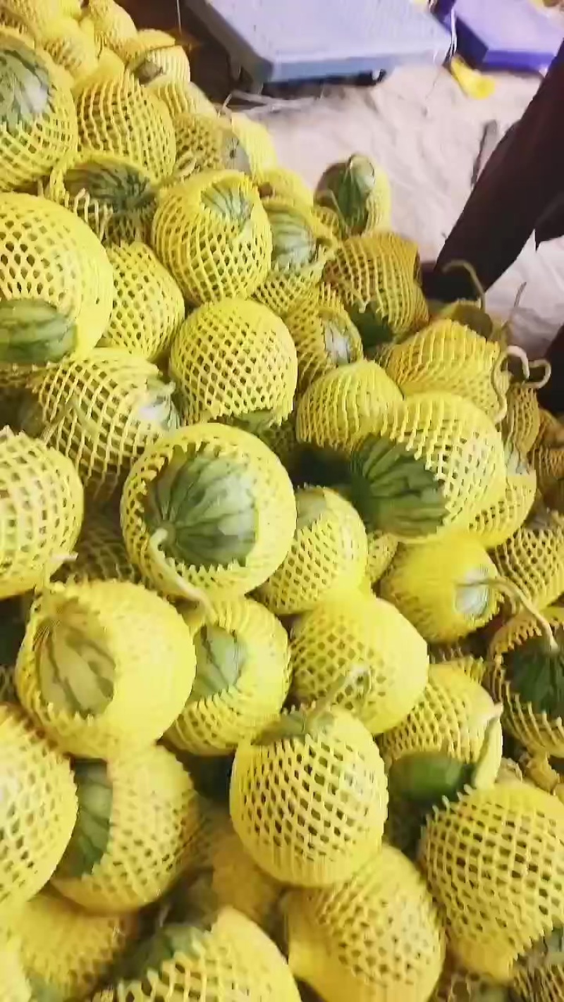特小凤西瓜