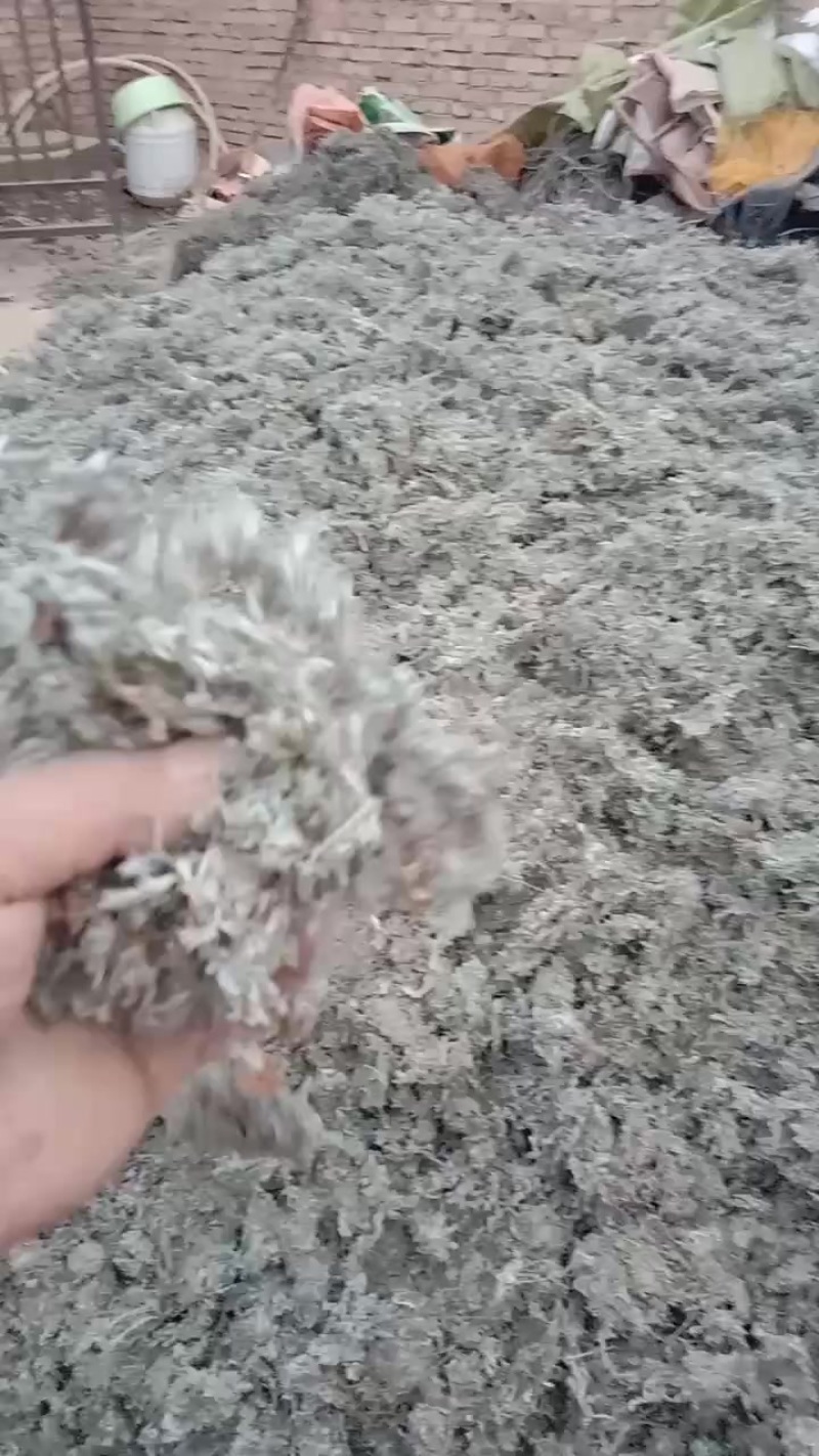 茵陈