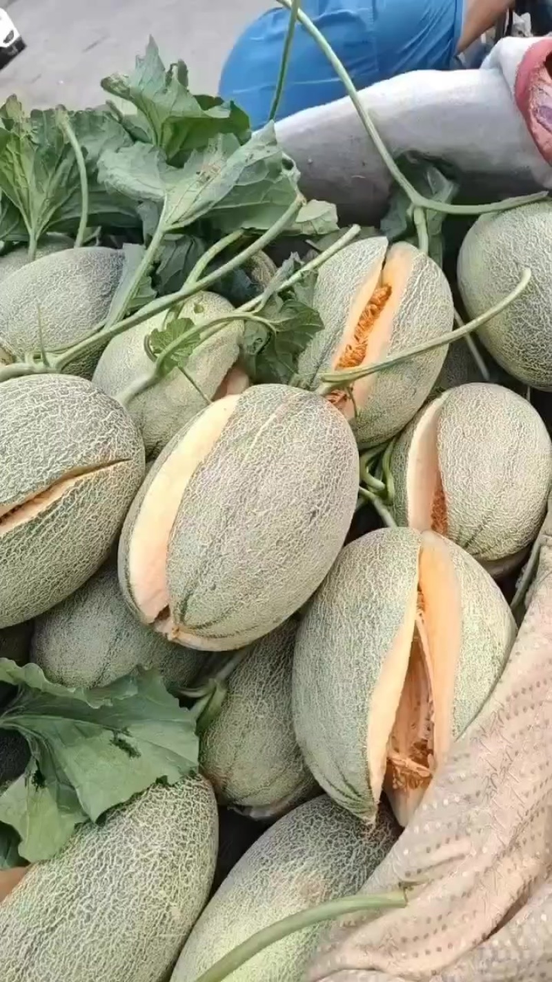 不熟都不摘