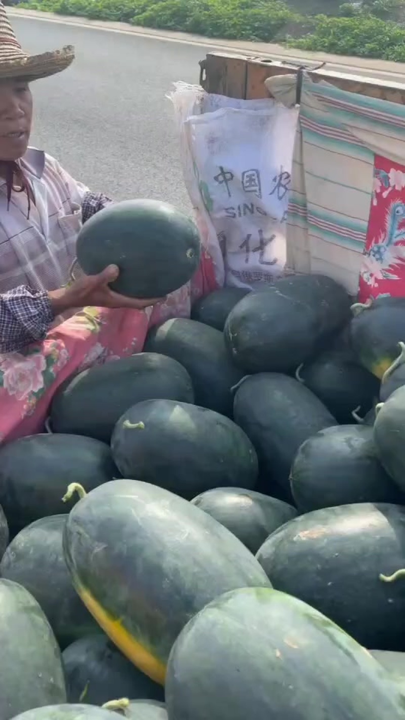 黑美人西瓜大量批发