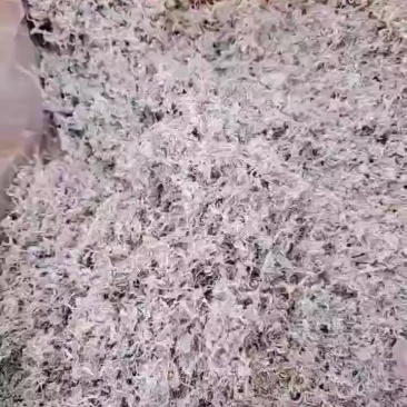 梅茶品质好