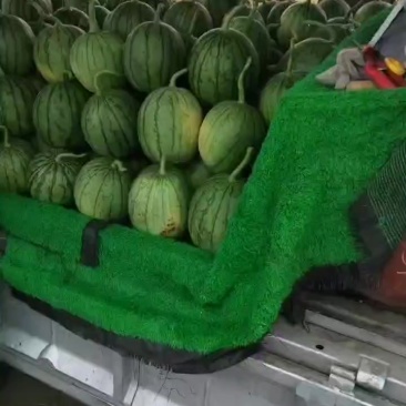 佳秀口口脆