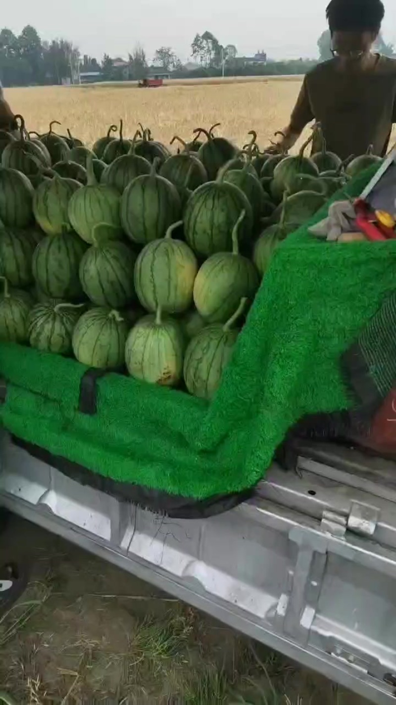 佳秀口口脆