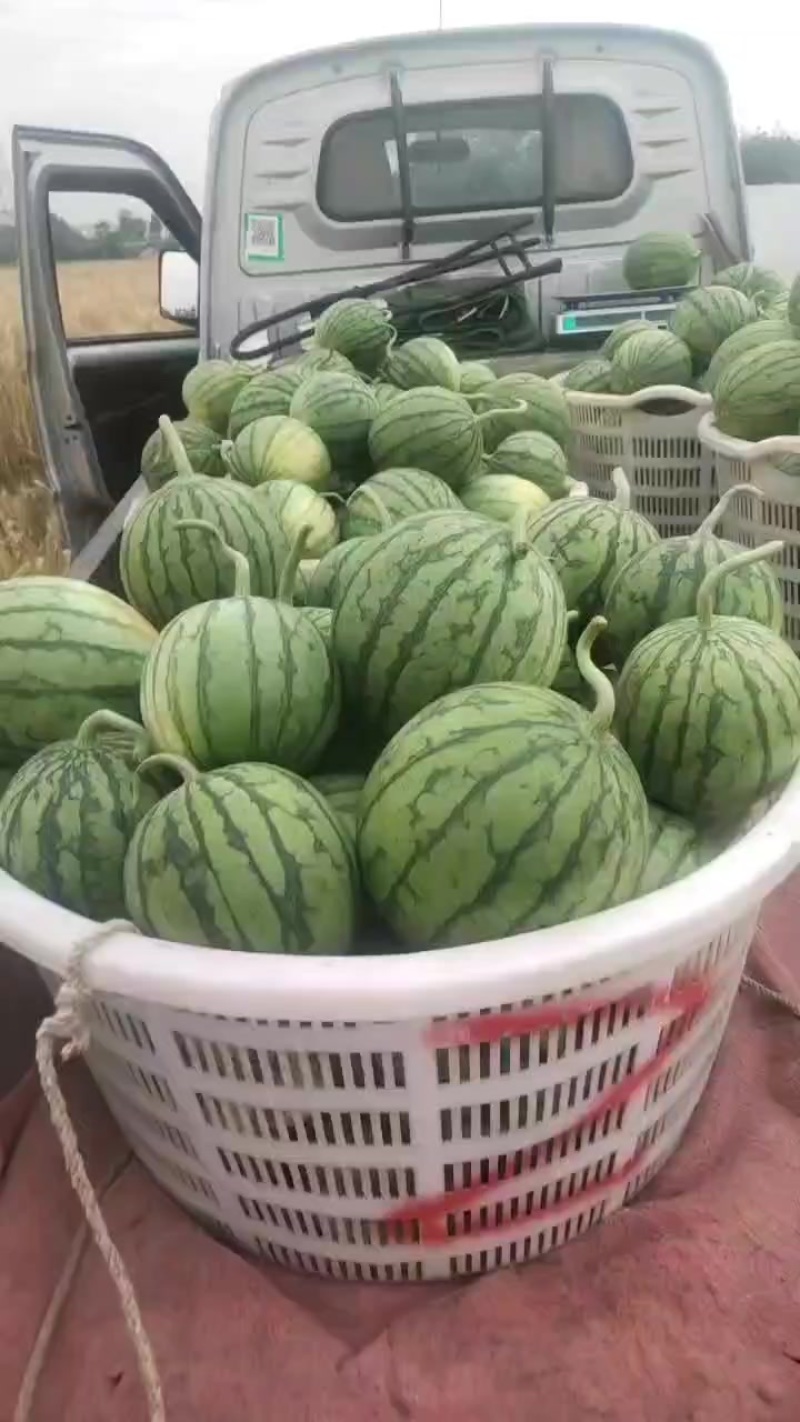 佳秀口口脆