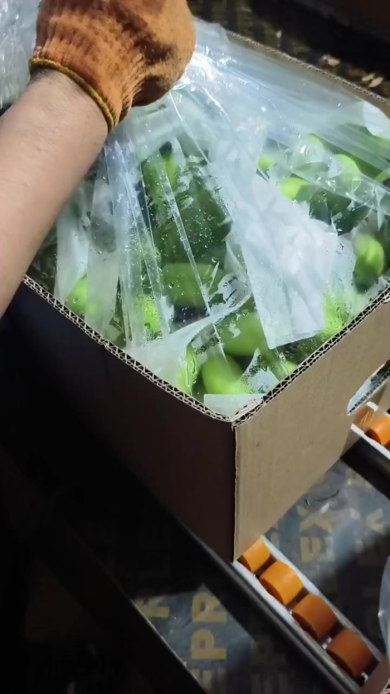 皇帝蕉