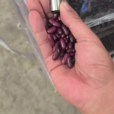 红腰豆
