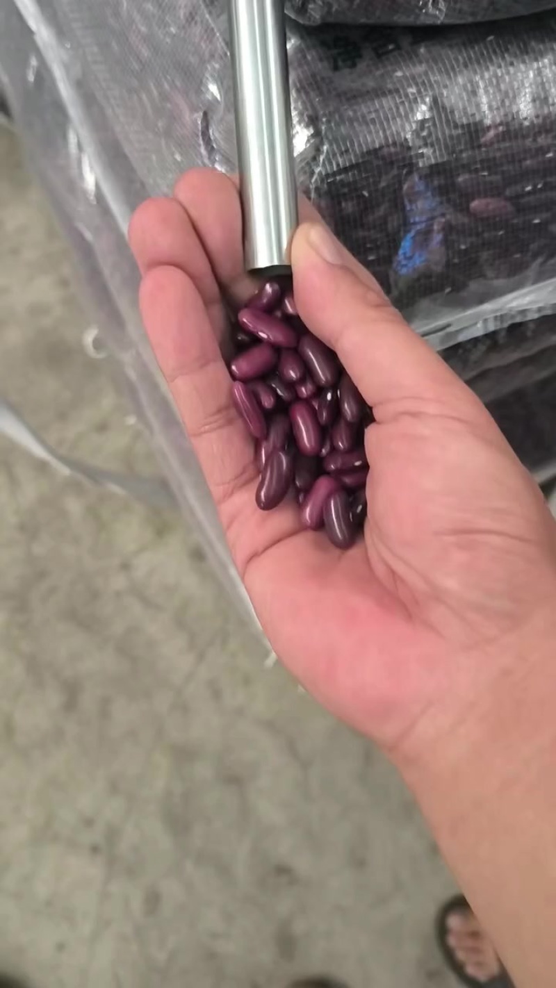 红腰豆