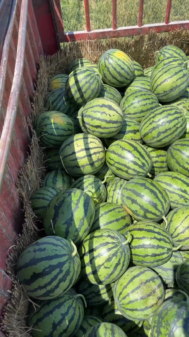 精品甜王