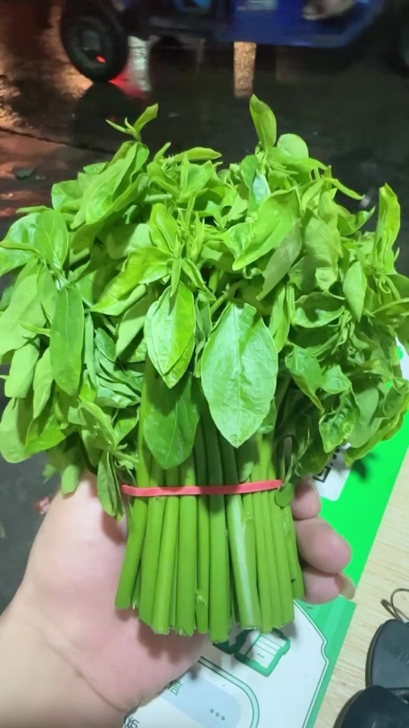 树仔菜