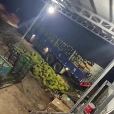 小果13斤起通货